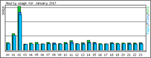 Hourly usage