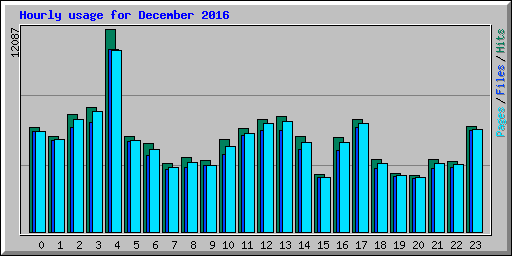 Hourly usage for December 2016